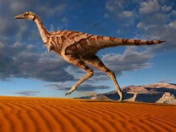 Single-Fingered Dinosaur Discovered in Inner Mongolia, China