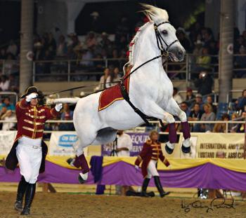 Fiesta of the Spanish Horse