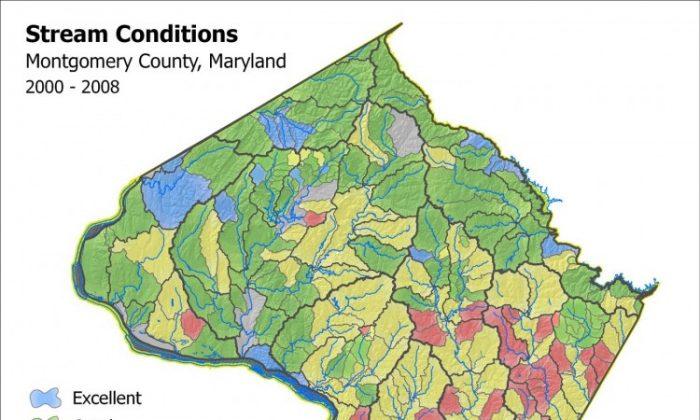 Keeping Maryland Waterways Healthy