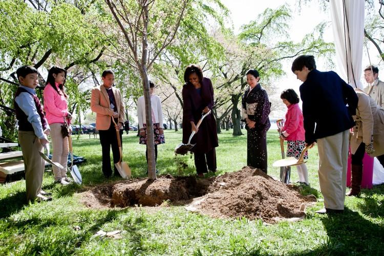 First Lady Plants New Tree at Cherry Blossom Festival