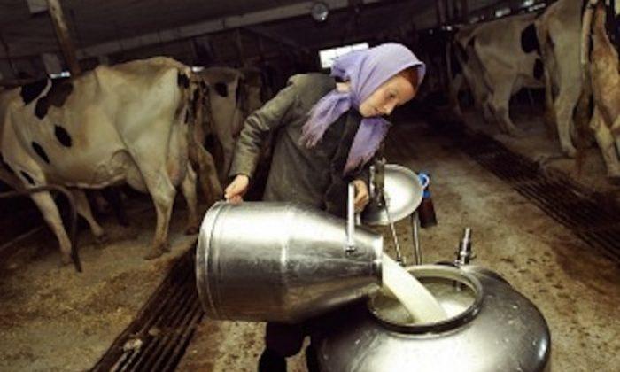 CDC Says Raw Milk Causes Most Dairy-Related Illnesses