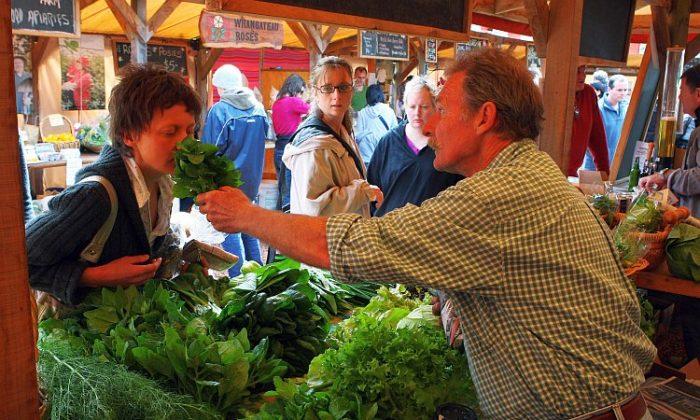 Future of NZ’s Small Food Producers in Question
