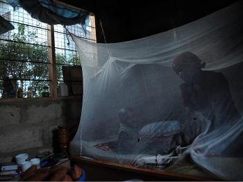 New Model Successfully Predicts Malaria Outbreak