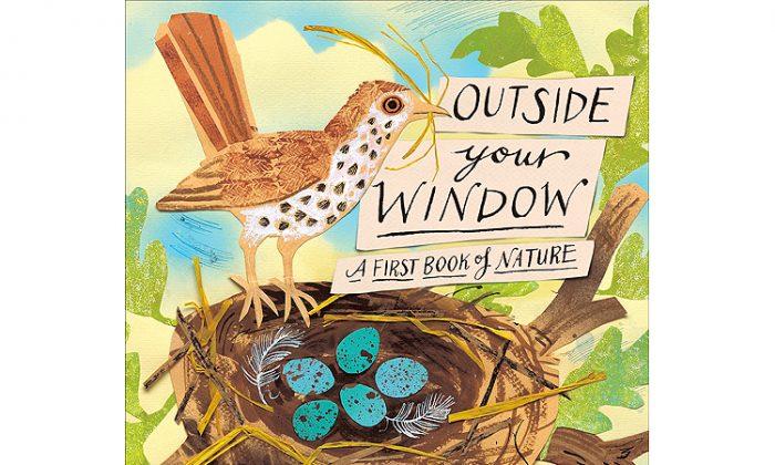 The Top Shelf: ‘Outside Your Window—A First Book of Nature’