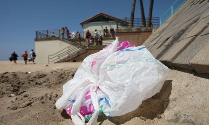 LA Approves Ban on Plastic Grocery Bags