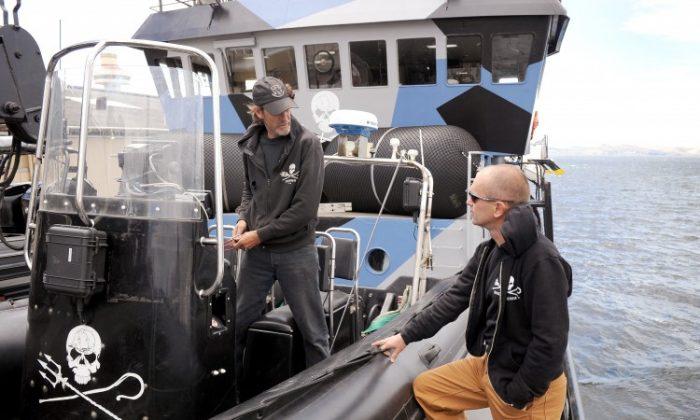 Whale Hunt Halted After Sea Shepherd Confrontation