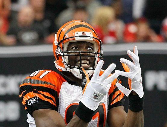 Terrell Owens Signs With Indoor Football League