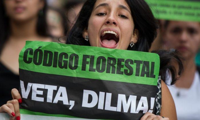 Brazil’s Controversial Forest Bill on Hold