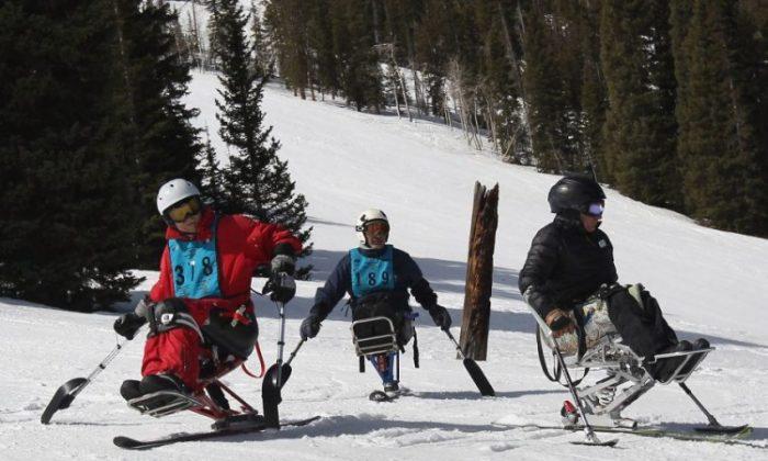 Disabled Vets Hit the Slopes (photo)