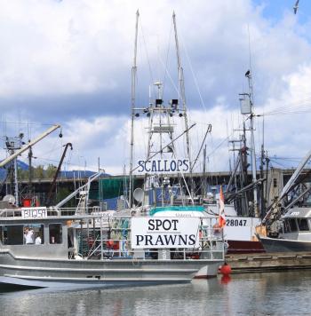 West Coast Seafood: Fishing for an Appetite