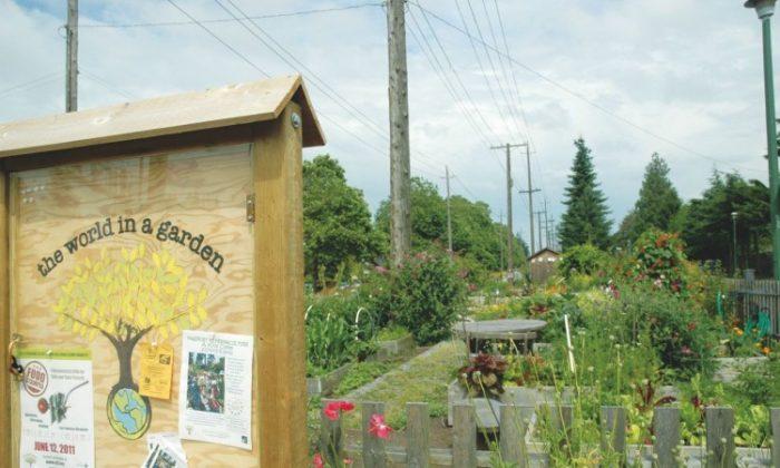 Vancouver Community Gardens a Growing Trend