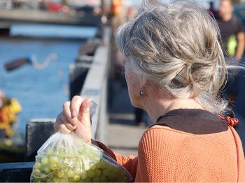 Expert Says Ireland Need New View of Aging