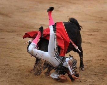 Bullfighting Deemed Illegal in Catalonia, Spain