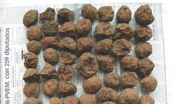 Mayans Used Clay Balls for Cooking