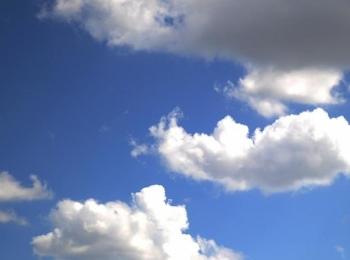 Cloud Computing Grows on Execs: Survey
