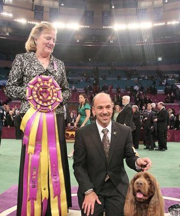 Old Dog, New Trick: Stump the Spaniel Wins Westminster Dog Show