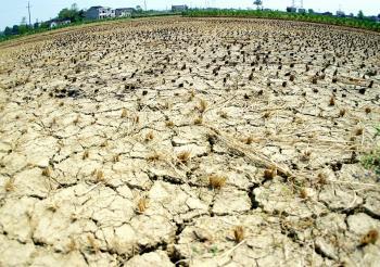 Drought in Southern China Destroys Crops, Water Levels Lowest Ever
