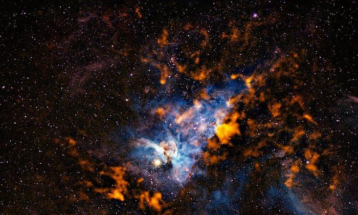 Star Formation in the Cold Dusty Carina Nebula (Photo)