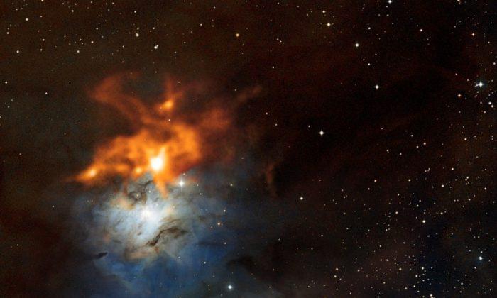 Cosmic Dust Clouds Gather Around Messier 78