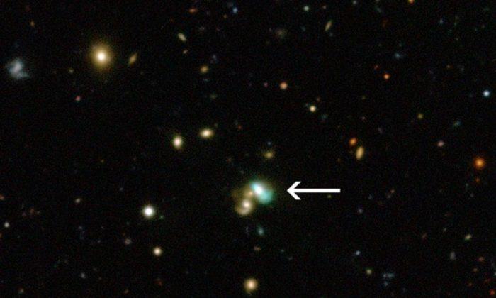 ‘Green Bean Galaxies’ Contain Dying Black Holes