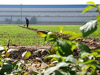 Landmark Decision Allows Chinese Farmers to Transfer Land-Use Rights
