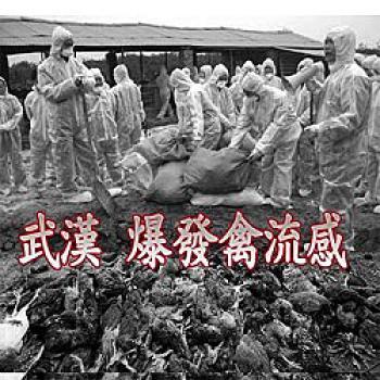 Wuhan Bird Flu Outbreak Censored by Local Media