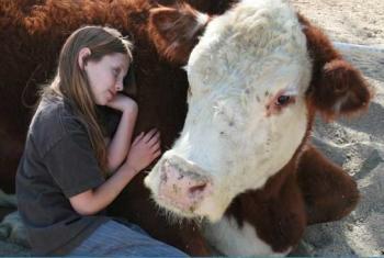 The Gentle Barn Aims to Help Children and Animals Alike
