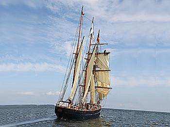 Tall Ships Regatta, Gdynia 2009