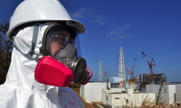 Fukushima Tragedy Could Have Been Avoided: Reports