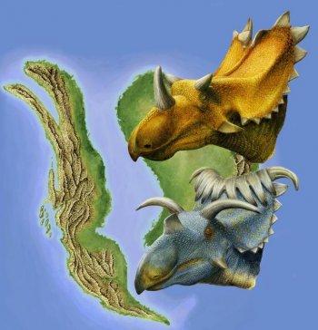 Most ‘Ornate-Headed’ Horned Dinosaurs Discovered