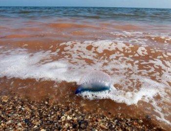 Weather Gives a Break to Gulf Oil Spill