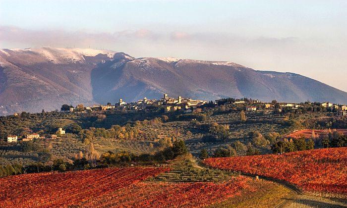 Sagrantino: The King of Wines