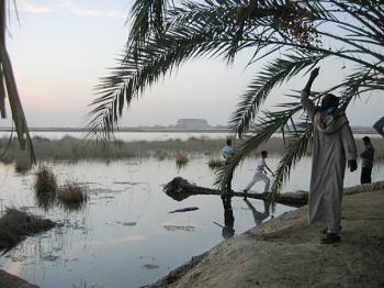 Egypt’s Siwa Oasis: Where History Was Inspired