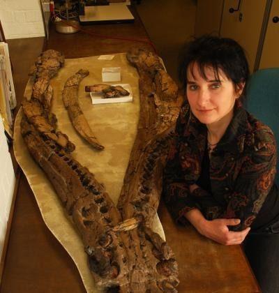 150-Million-Year-Old Pliosaur Had Arthritic Jaw