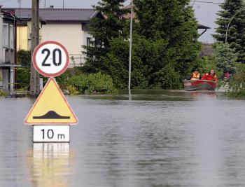 Beavers Take Blame for Poland Floods