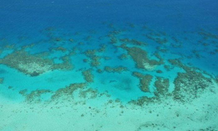 UNESCO Assesses Great Barrier Reef Health