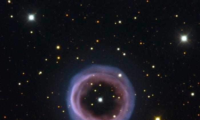 Annular Planetary Nebula, Shapley 1 (Photo)