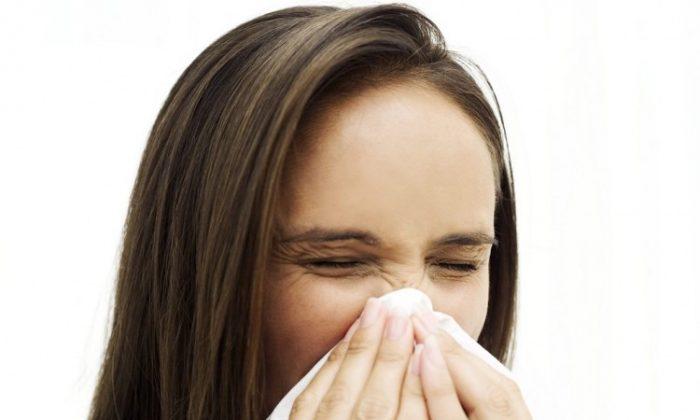 Why Do We Sneeze?