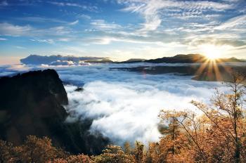Taiwan’s Ali Mountain: Ancient Forests, Sunrise, and History