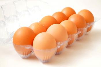 British Man Jailed for Organic Egg Scam