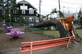 Wind Storm Ravages NYC, Westchester