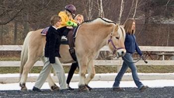 Program Uses Horses to Raise Spirits and Money
