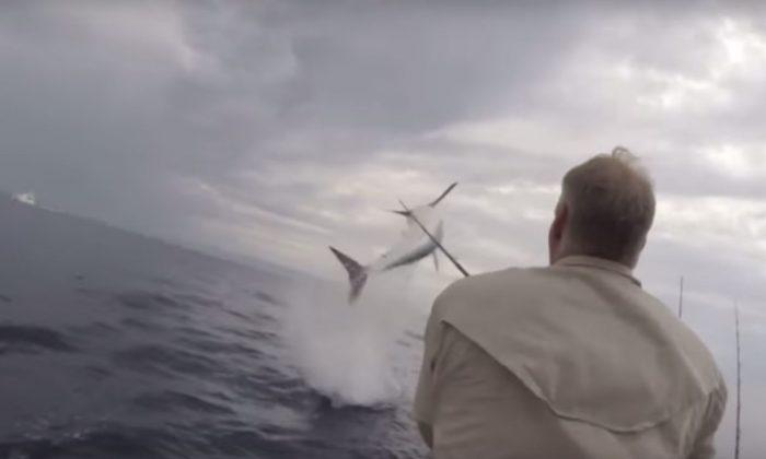 Watch: Mako Shark Jumps 12 Feet out of the Water, Scares Fisherman