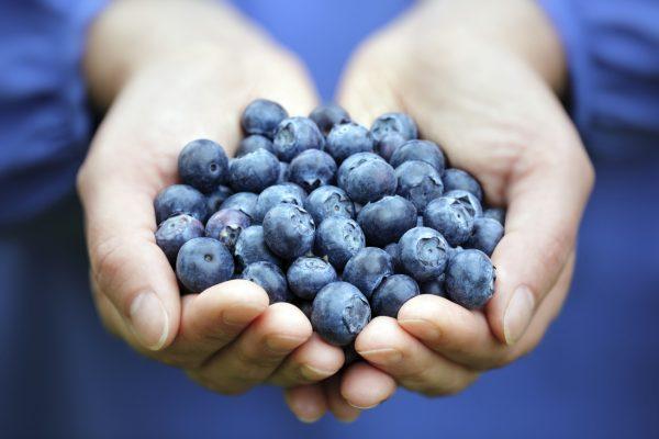  Blueberries have been shown not just to prevent, but actually reverse abnormal physical and mental decline (BrianAJackson/iStock)