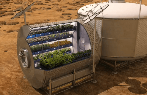 Watch Astronauts Eat Space-Grown Lettuce For First Time (Video)