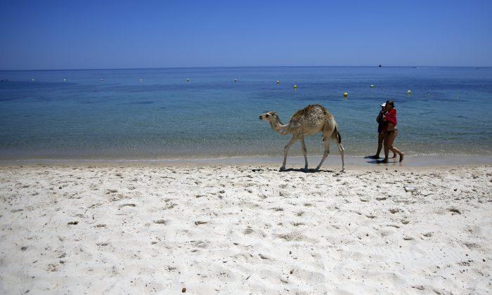 Last Burst of Summer Fun for Tunisia’s Doomed Beach Hotels
