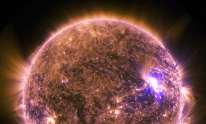 ‘Threat to Modern Society’: Scientists Say Massive Solar Storm Hit Earth 2,600 Years Ago