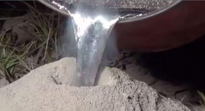 Pour Molten Aluminum Into a Fire Ant Colony, and You‘ll Get a Weird ’Sculpture’