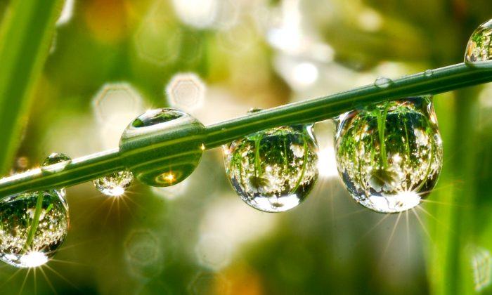 Can Droplets That ‘Dance’ Purify Water?