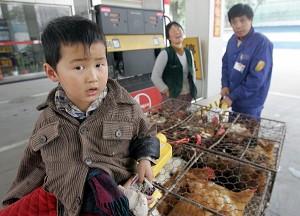 Chinese Rural Residents Suffer from Lack of Health Care
